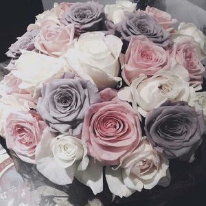 Meet your Posher, Maddie